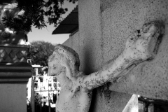 web_IMG_5851