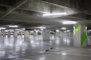 IMG_0052