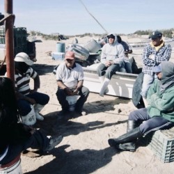 Conservation Agreement for the Protection of Sea Lion in San Jorge Island, Mexico