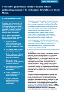 PolicyBriefPortada